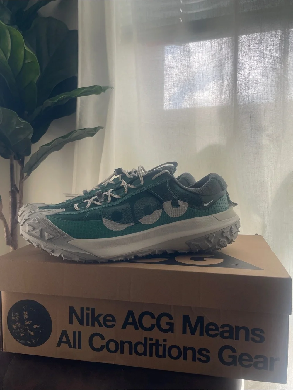 Nike ACG Mountain Fly 2 Low